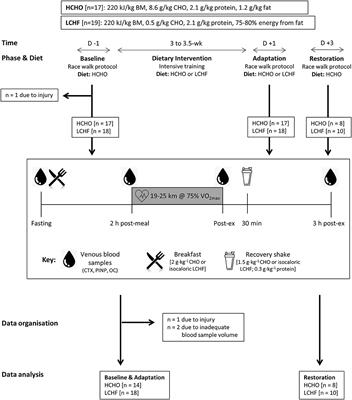 A Short-Term Ketogenic Diet Impairs Markers of Bone Health in Response to Exercise